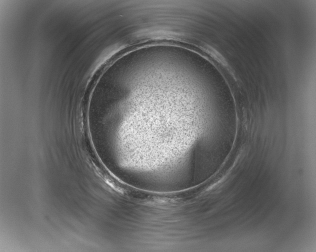 X0000081560782200701221026