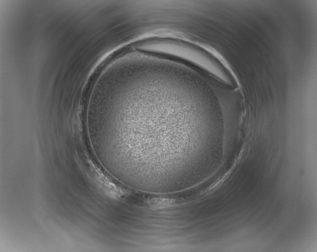 X0000081560783200701221026