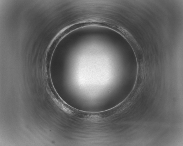 X0000081560784200701221026