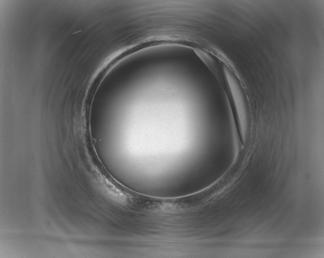 X0000081560787200701221026