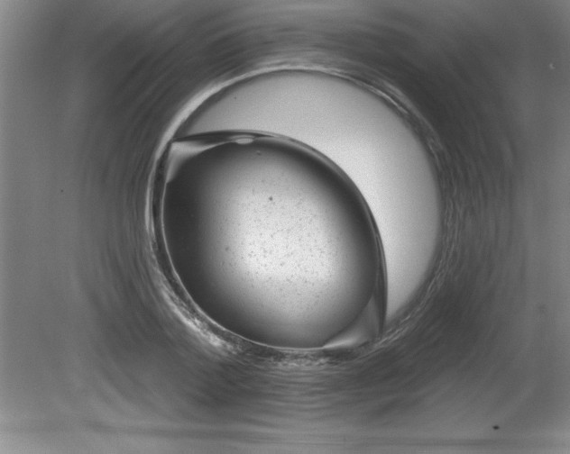 X0000081560788200701221026