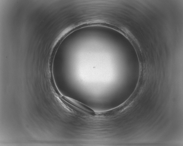 X0000081560789200701221026