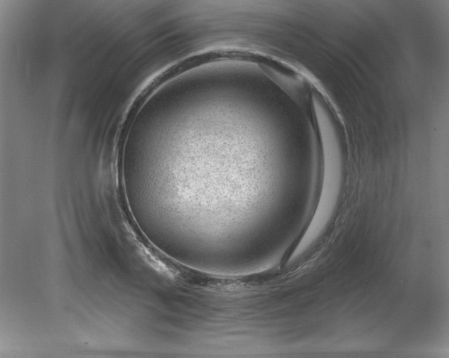 X0000081560791200701221026