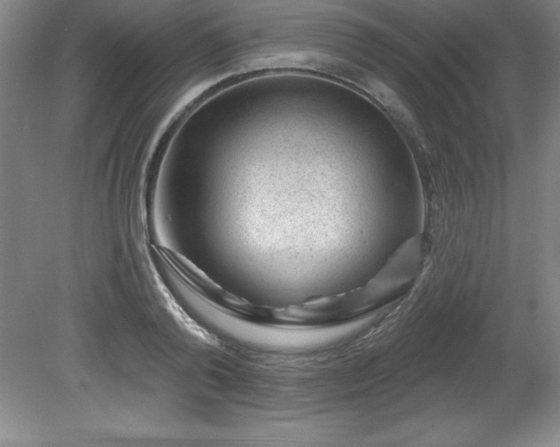 X0000081560792200701221026