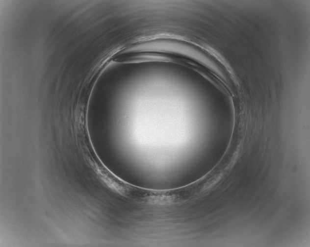 X0000081560793200701221025