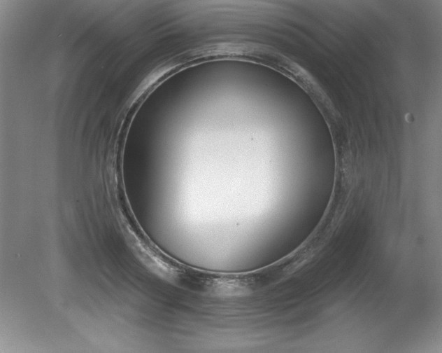 X0000081560794200701221025