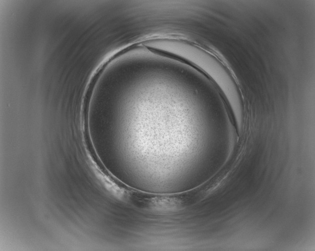 X0000081560795200701221025