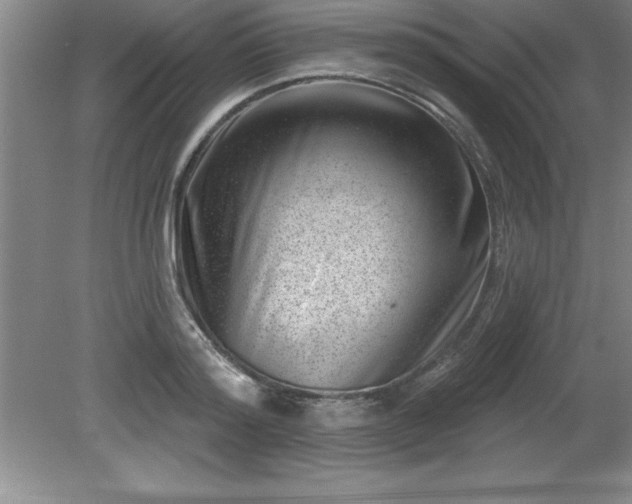 X0000081560796200701221025