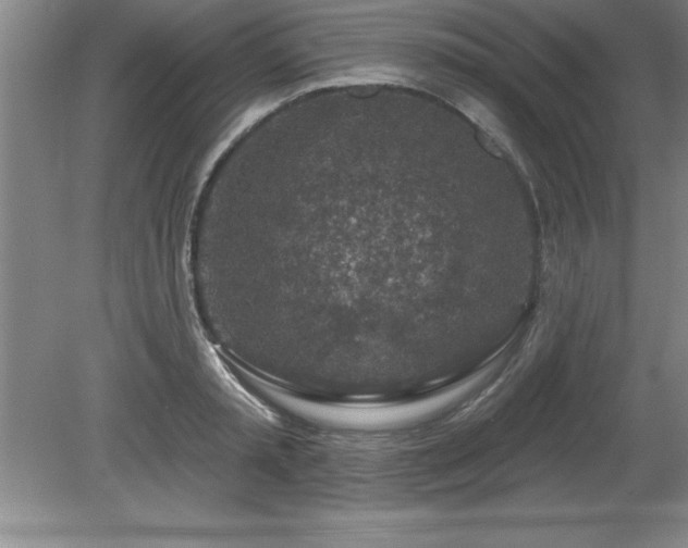 X0000081560797200701221025