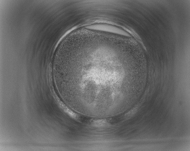 X0000081560798200701221025