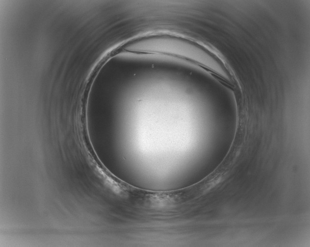 X0000081560799200701221025