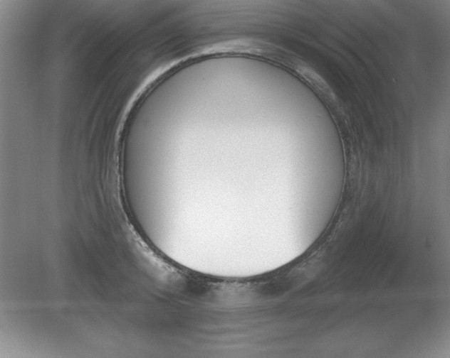 X0000081560800200701221025