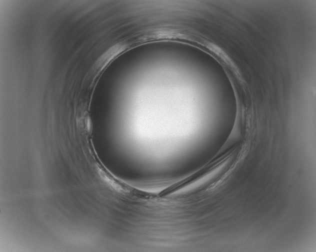 X0000081560801200701221025