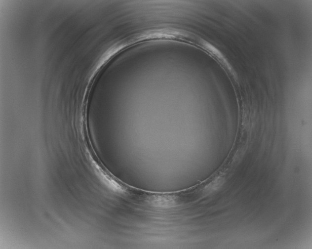 X0000081560802200701221025