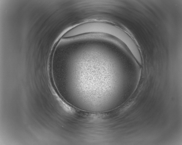 X0000081560803200701221025