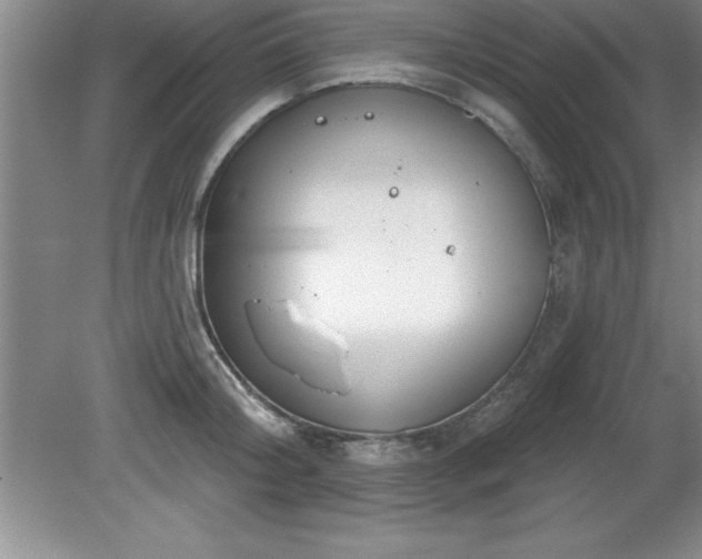 X0000081560804200701221025