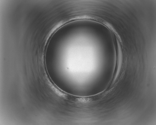 X0000081560805200701221025