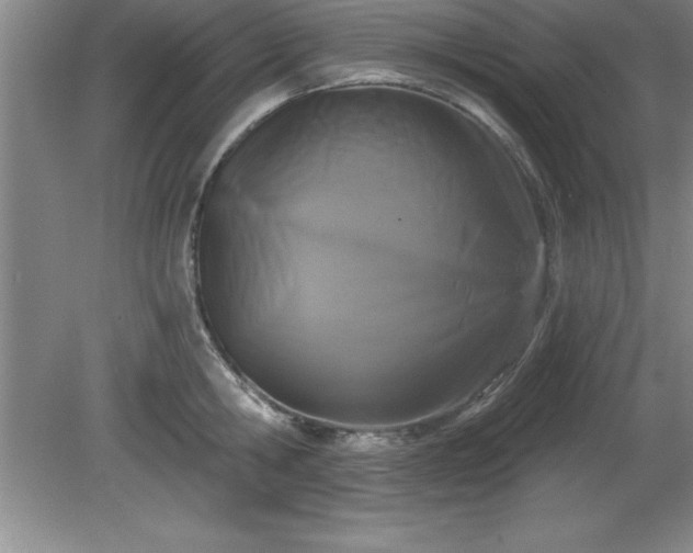 X0000081560806200701221025