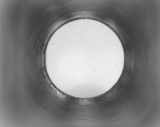 X0000081560807200701221025