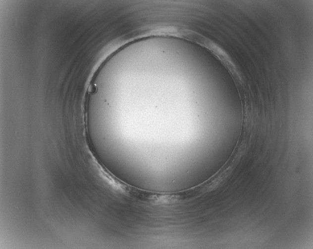 X0000081560808200701221025