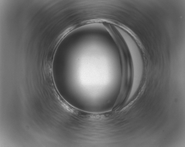 X0000081560809200701221025