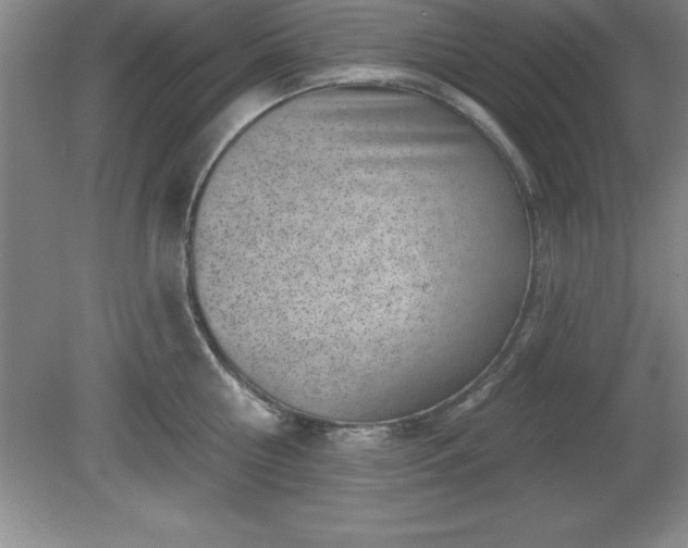 X0000081560810200701221025