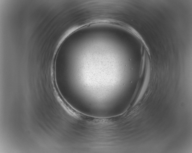 X0000081560811200701221025