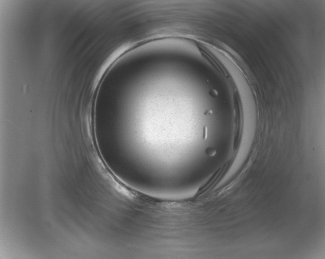 X0000081560812200701221025