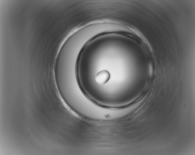 X0000081560813200701221025