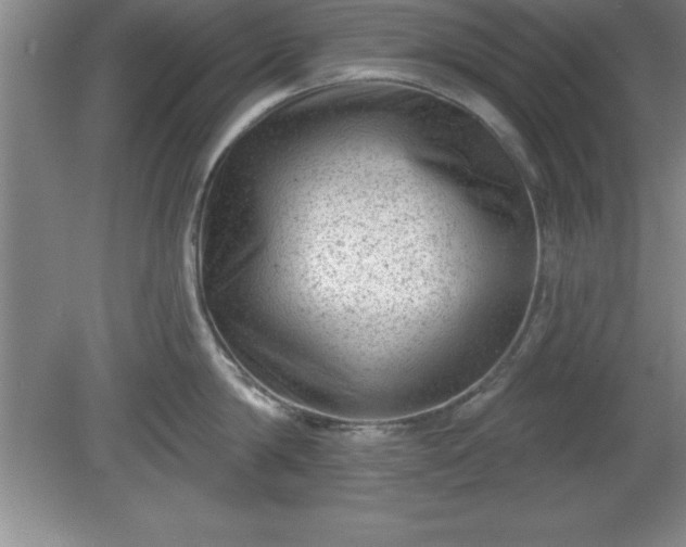 X0000081560814200701221025