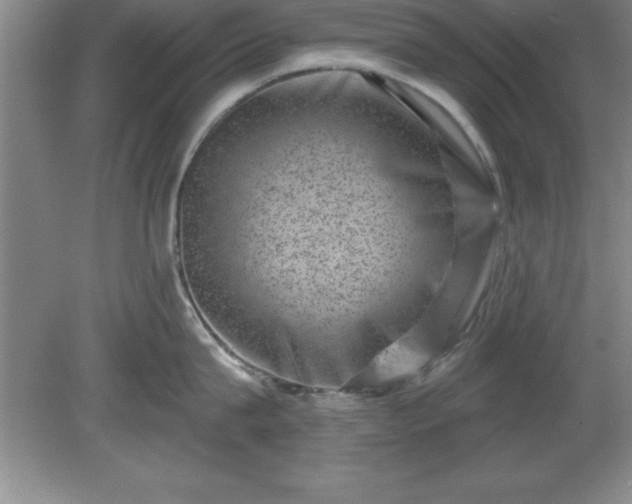 X0000081560815200701221025