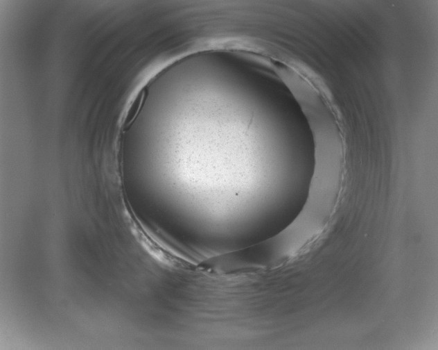 X0000081560816200701221025