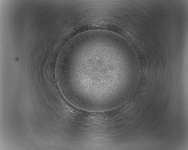 X0000081560817200701221024