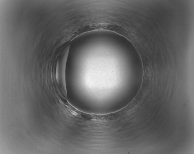 X0000081560818200701221024