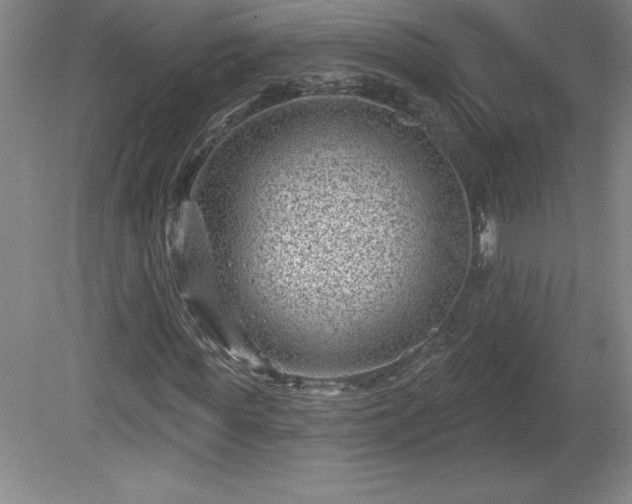 X0000081560819200701221024