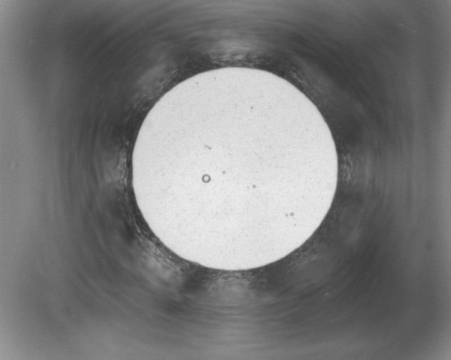 X0000081560820200701221024