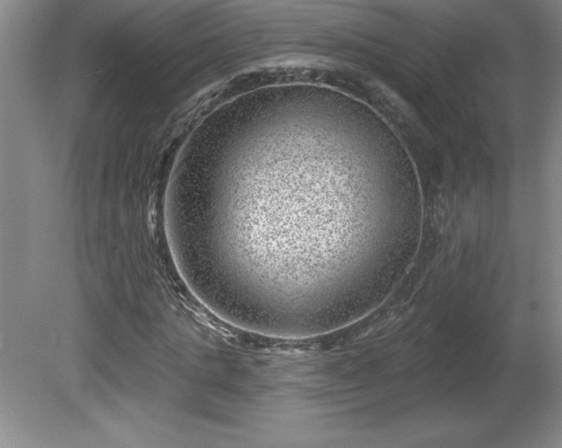 X0000081560821200701221024