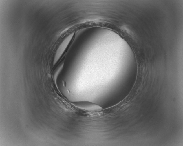 X0000081560822200701221024