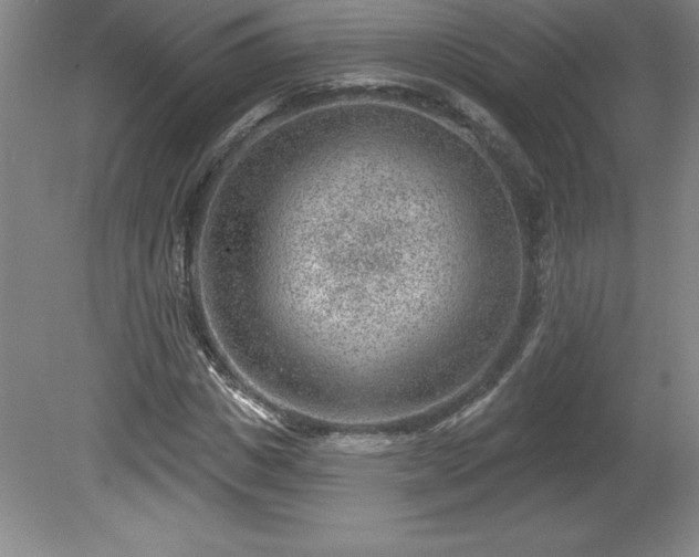 X0000081560825200701221024