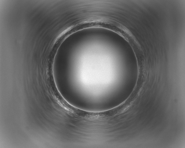 X0000081560826200701221024