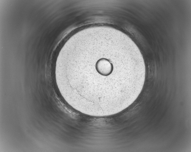 X0000081560828200701221024