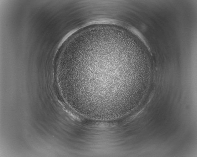 X0000081560829200701221025