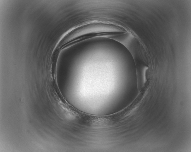 X0000081560830200701221025