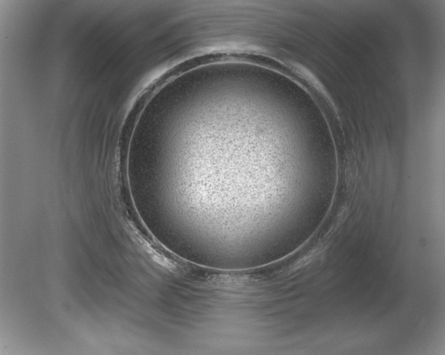 X0000081560831200701221025