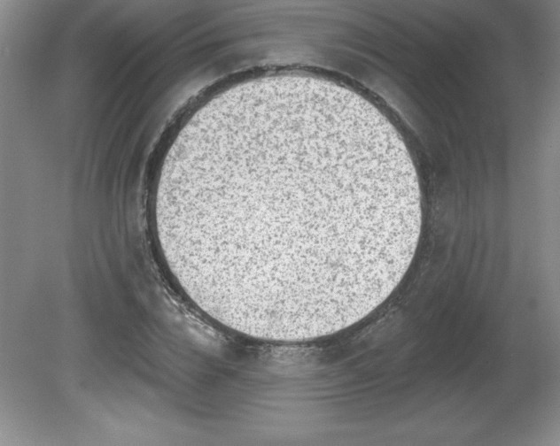 X0000081560832200701221025