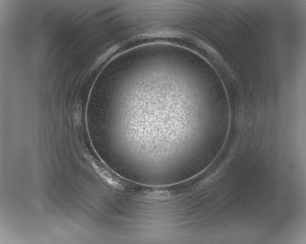 X0000081560833200701221025