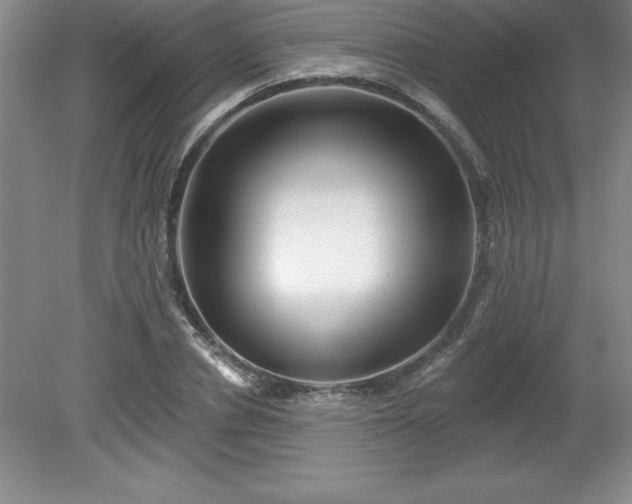 X0000081560834200701221025