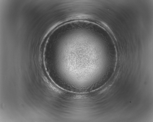 X0000081560835200701221025