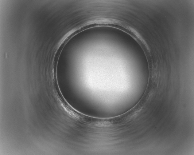 X0000081560837200701221025