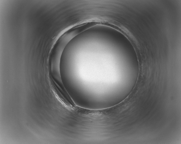 X0000081560838200701221025